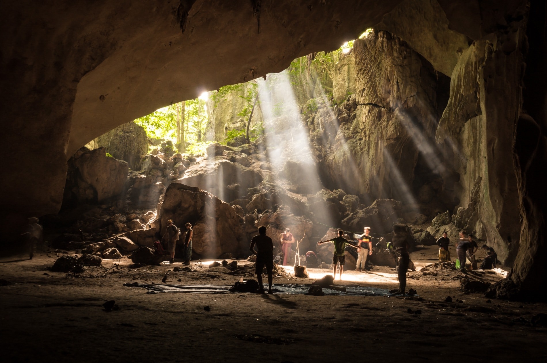 Image result for kepayang cave taman negara